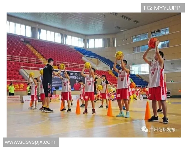 权威发布：排球实力实力榜单