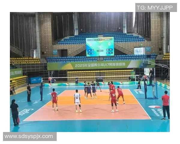 排球热点：解读上海排球队的运营